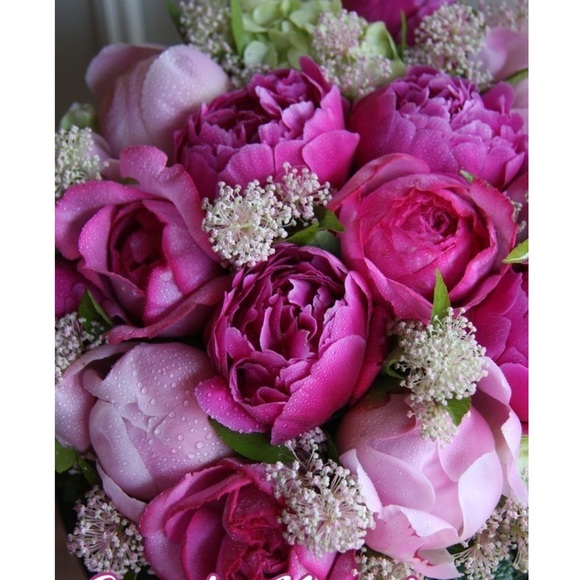 User has tragically passed away on 19th December - Picture 2 of 2